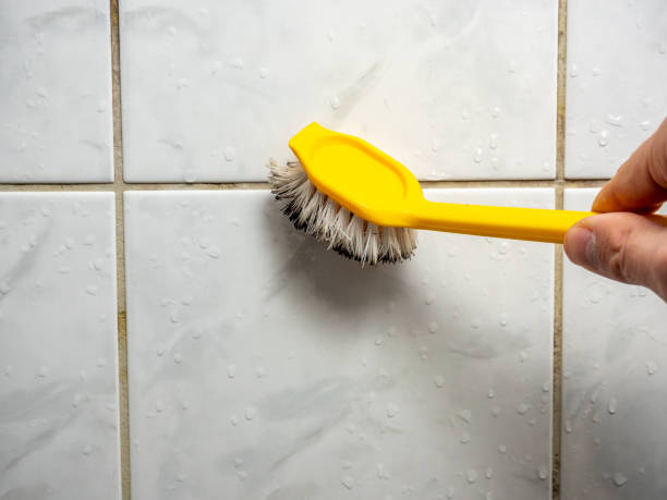 Best Mold Cleaning Services  in Weedsport, NY