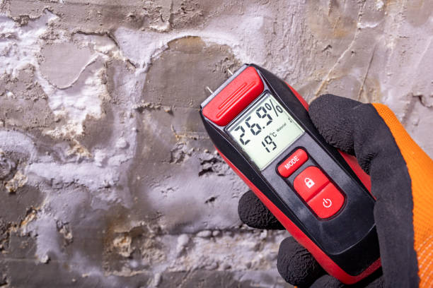 Best Local Mold Removal Service  in Weedsport, NY