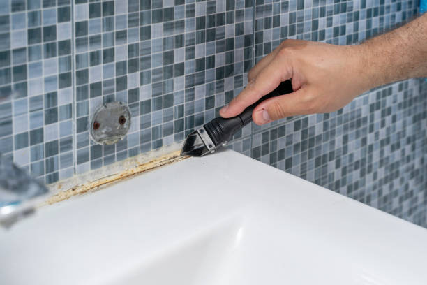 Best Mold Removal Specialists  in Weedsport, NY